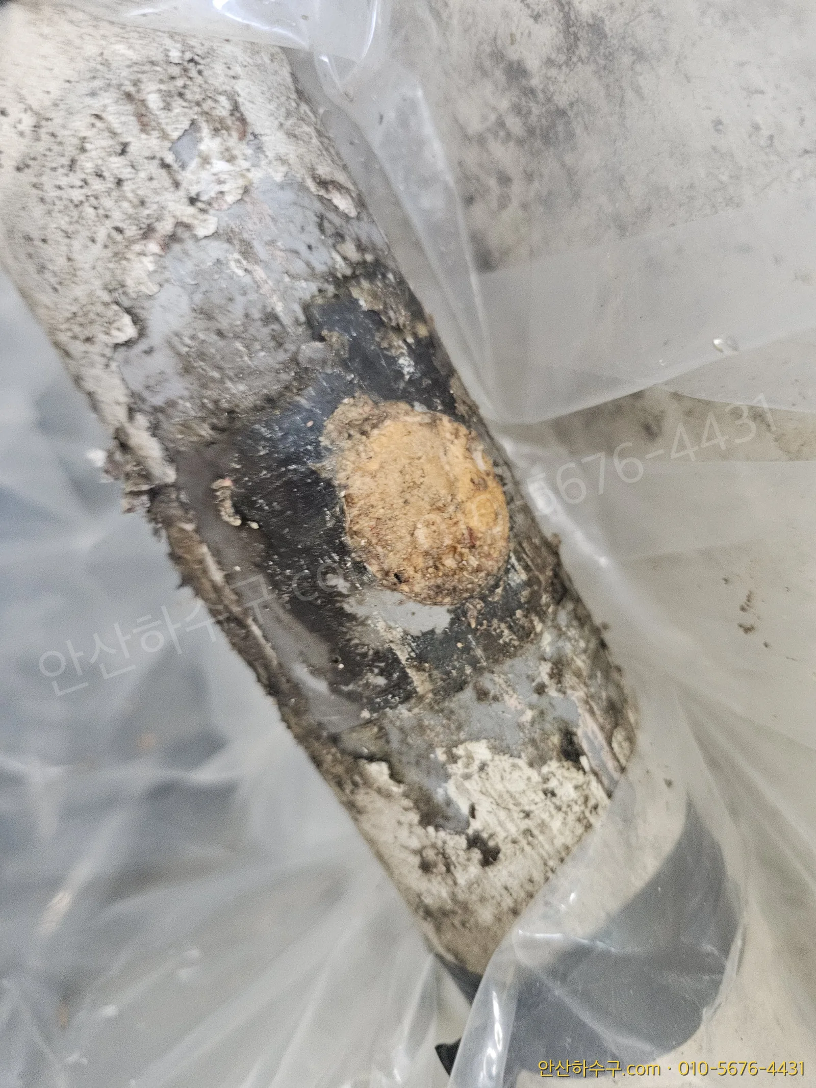 PVC 덮개를 걷어내자 드러난 배관 속 기름 덩어리