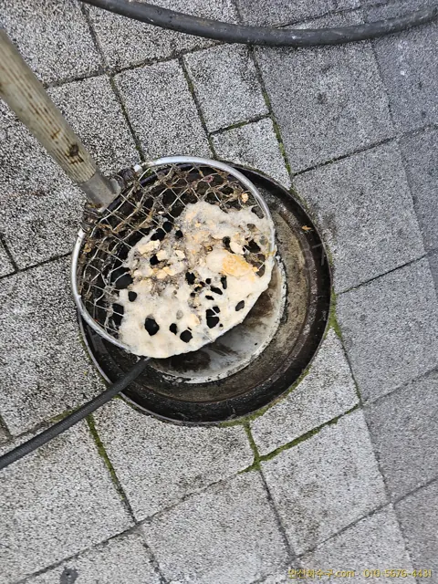 빗물받이 그물망에 걸린 낙엽과 토사 — 우수관 막힘의 가장 흔한 원인